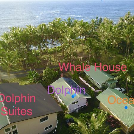 Whale House At Kehena Beach Pahoa Eksteriør bilde