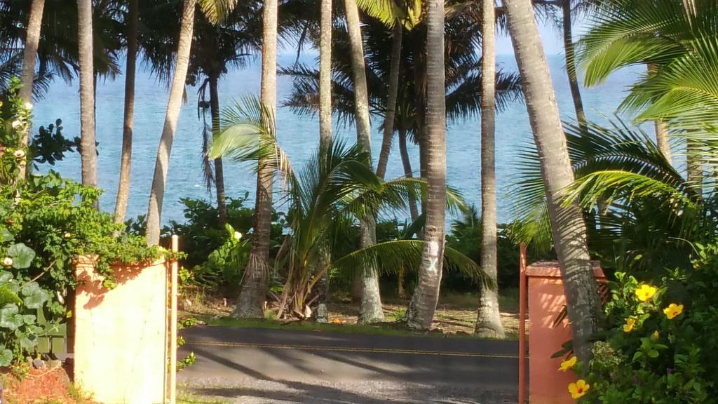Whale House At Kehena Beach Pahoa Rom bilde