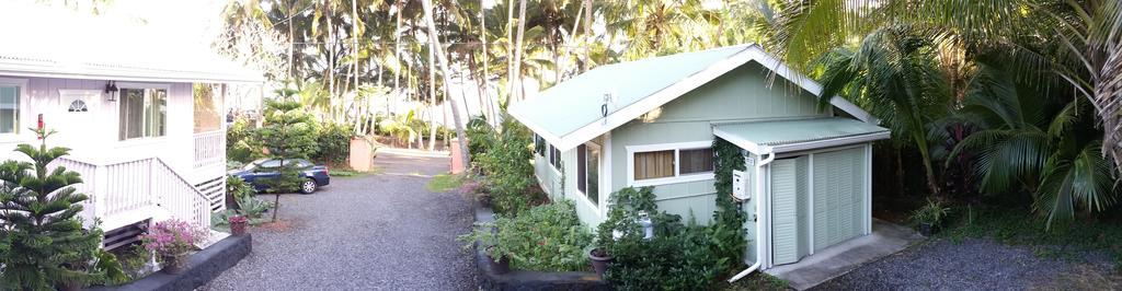 Whale House At Kehena Beach Pahoa Rom bilde