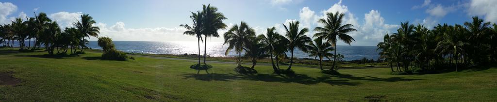 Whale House At Kehena Beach Pahoa Rom bilde