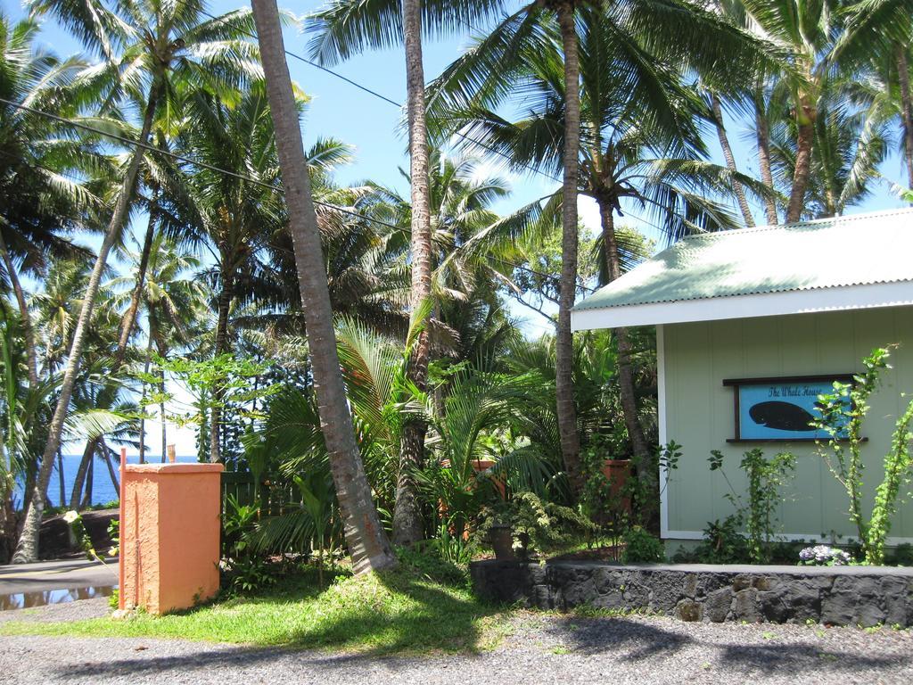 Whale House At Kehena Beach Pahoa Rom bilde