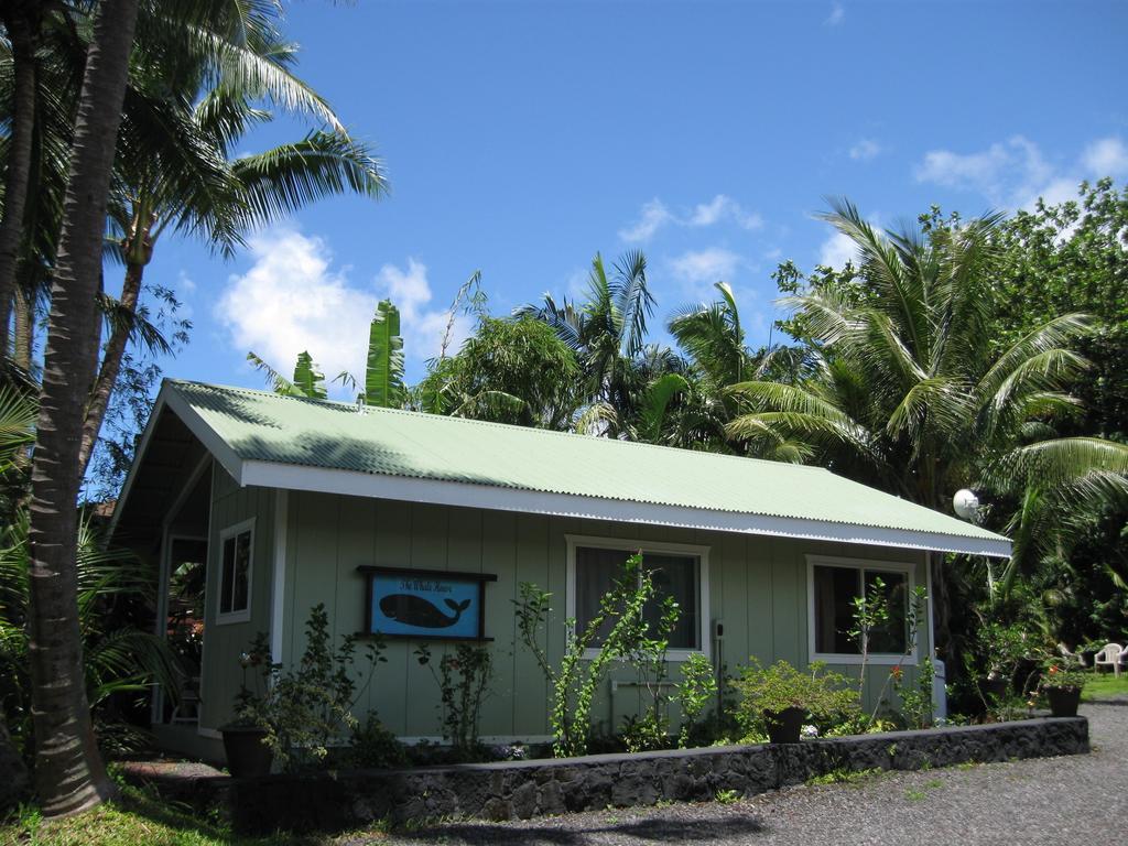 Whale House At Kehena Beach Pahoa Rom bilde