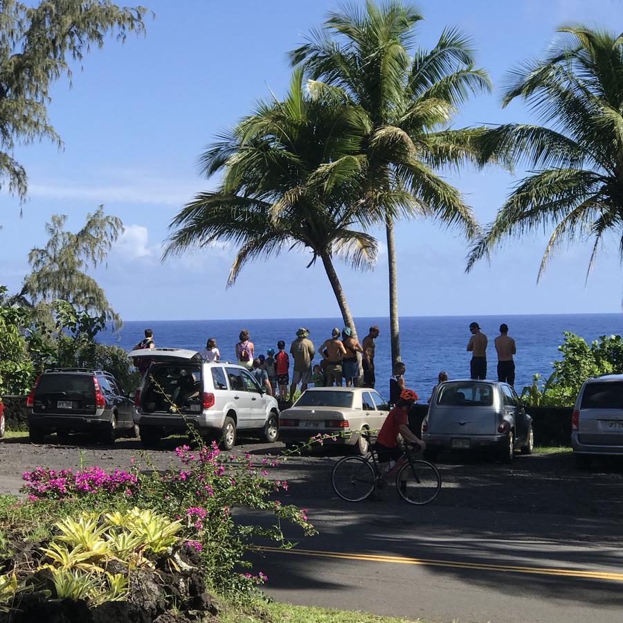 Whale House At Kehena Beach Pahoa Eksteriør bilde