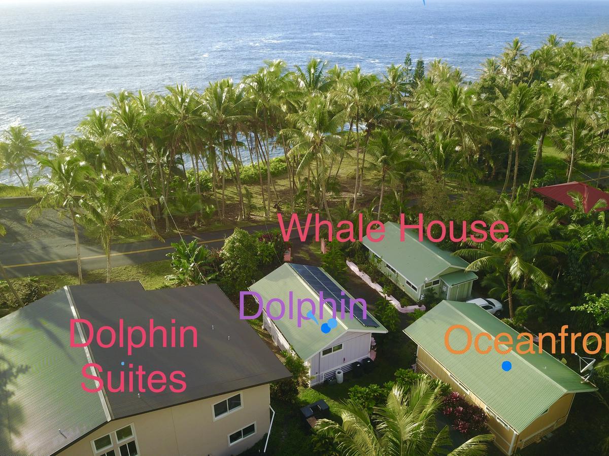 Whale House At Kehena Beach Pahoa Eksteriør bilde