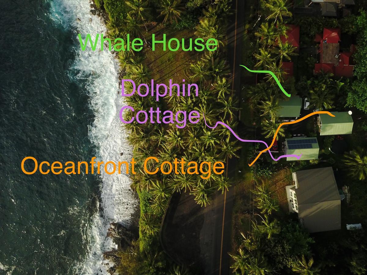 Whale House At Kehena Beach Pahoa Eksteriør bilde